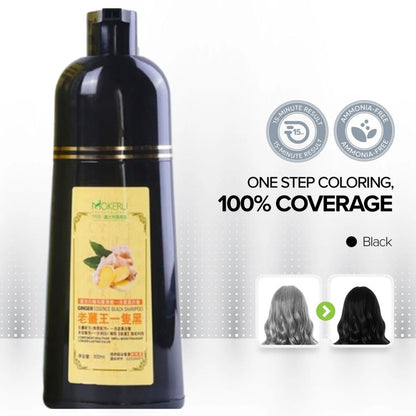 Black Hair Dye Shampoo - Ginger Essence
